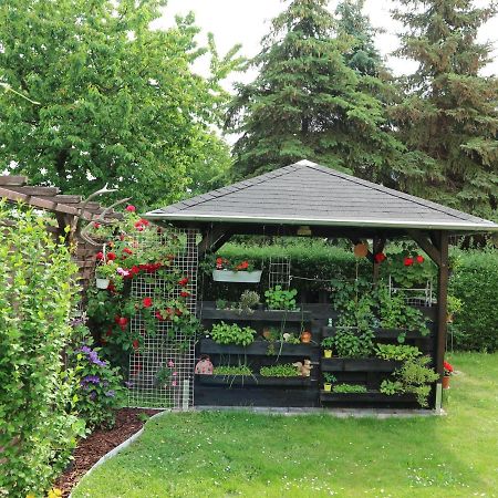 Ferienwohnung Nordstadt Форст Екстериор снимка